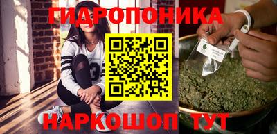 a pvp Кимры