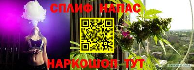 крисы Кандалакша