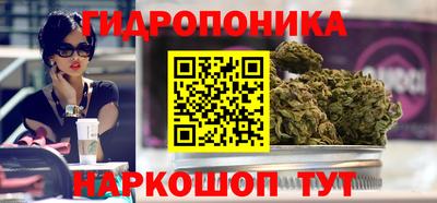 гидра Камышлов