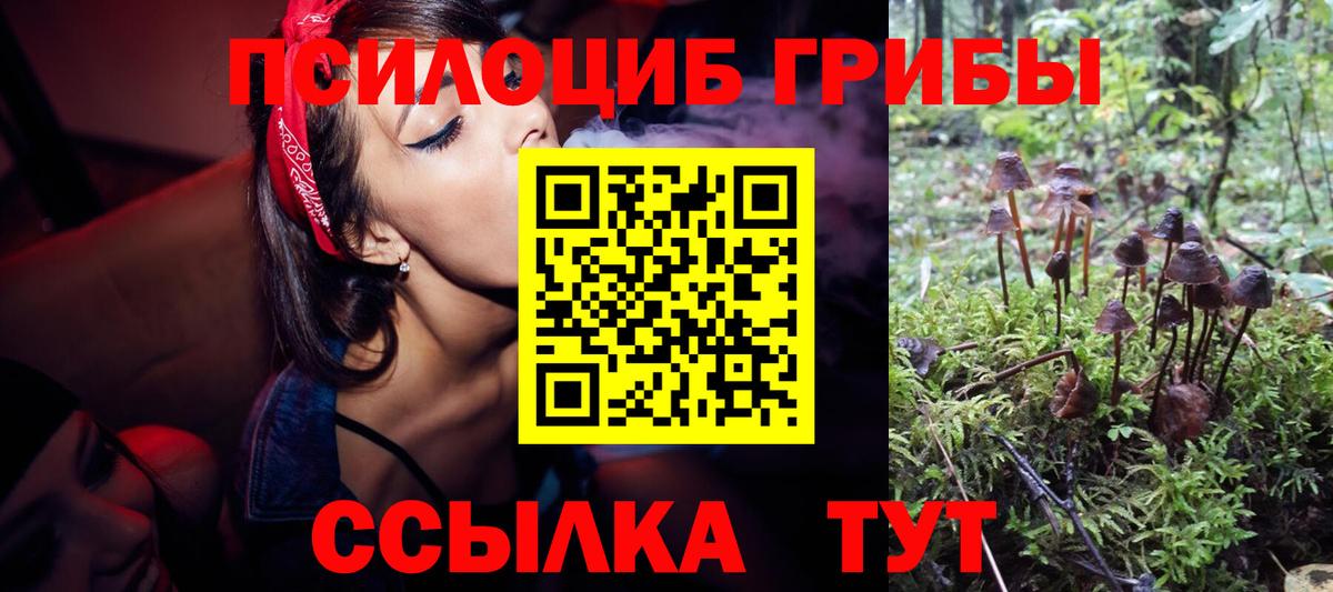 Галлюциногенные грибы Magic Shrooms Котлас