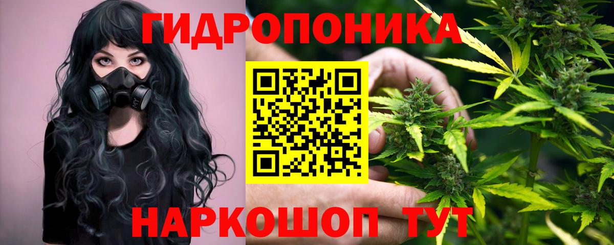 Котлас  Канабис Bruce Banner  Шишки марихуана семена  Вход с VPN  Каннабис Ganja  Бошки марихуана тримм 
